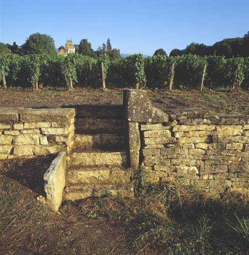 aloxe_corton_wall.jpg