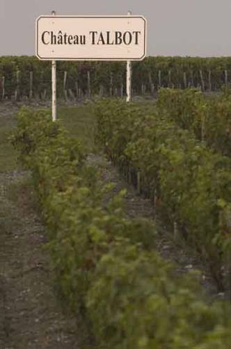 Talbot_vineyards_0176.jpg