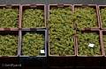 Click to view