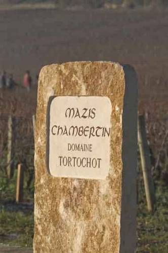 Tortochots_Mazis-Chambertin_6216.jpg