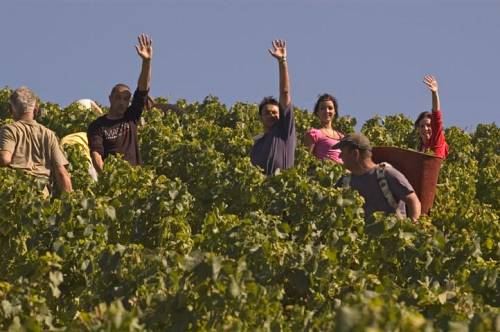 Happy_harvesters_in_Fuisse_4111.jpg