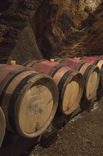 Nicolas_Potels_cellars@Nuits-St-Georges_2665.jpg