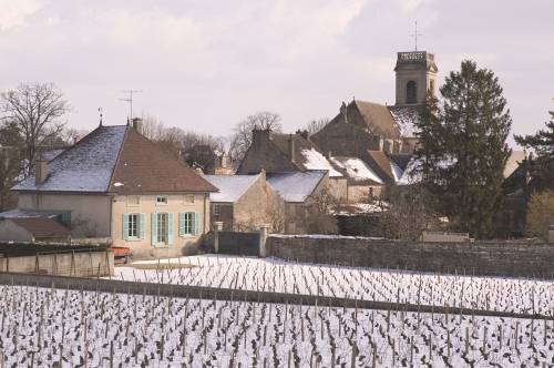 Pommard_0045.jpg