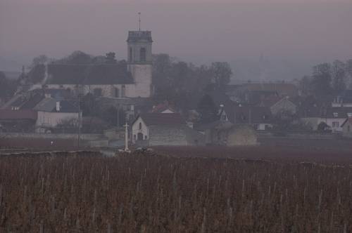 Pommard_47221.jpg