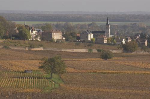 Aloxe-Corton_2333.jpg