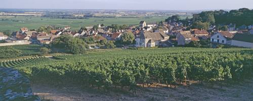 Volnay_Xpan014.jpg