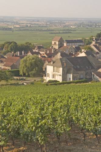 Volnay_from_Clos_des_Ducs_4120.jpg