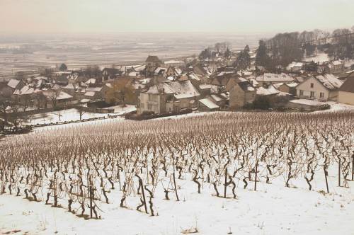 Volnay_in_snow_00321.jpg