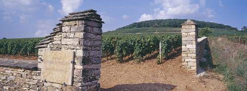 Bonneau_du_Martray-CortonCharlemagne.jpg