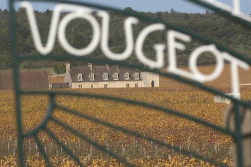 Clos_de_Vougeot_6457.jpg