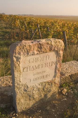 Griotte-ChambertinDr33A6C.jpg